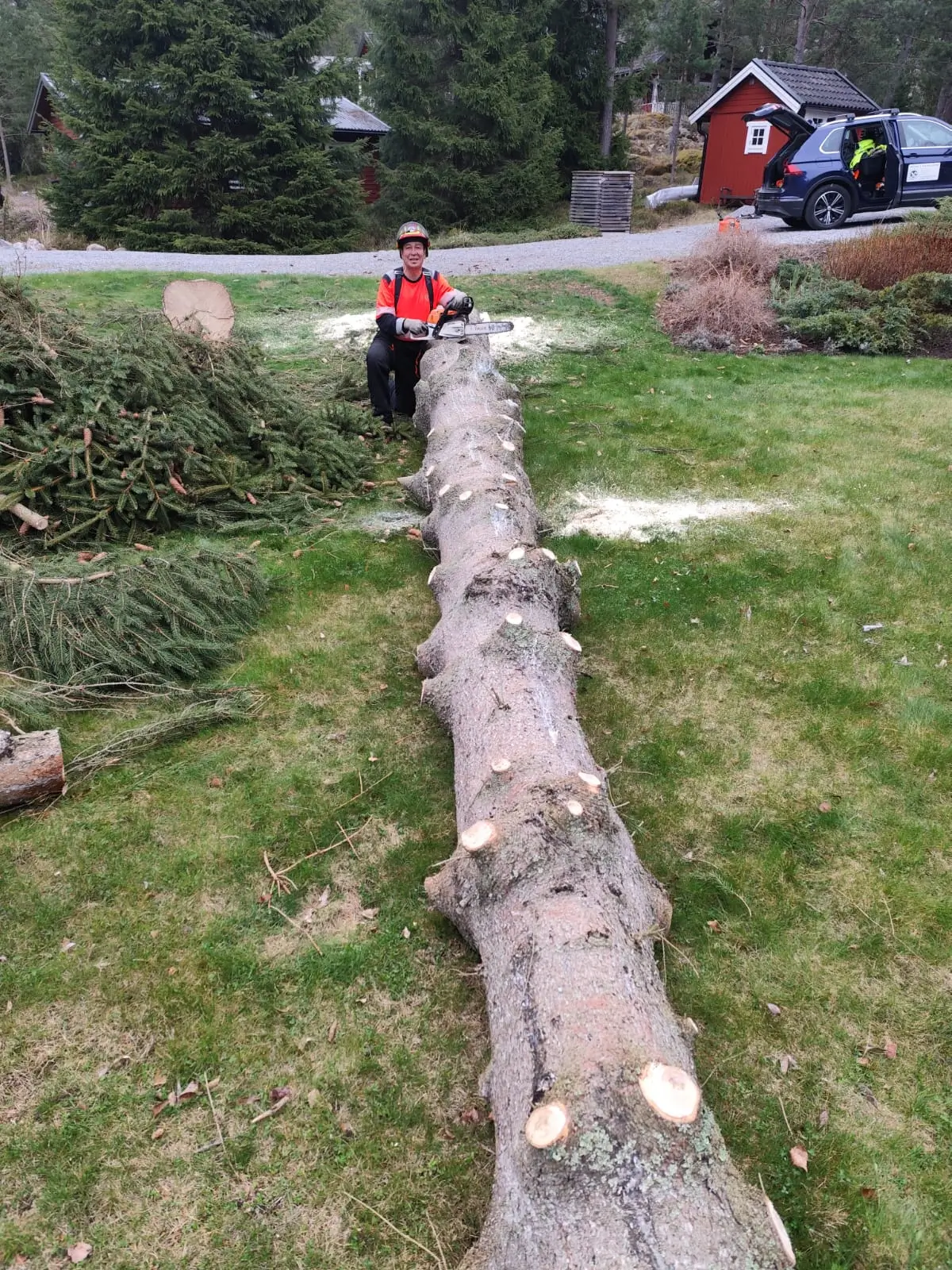Martin Englund - Arborist