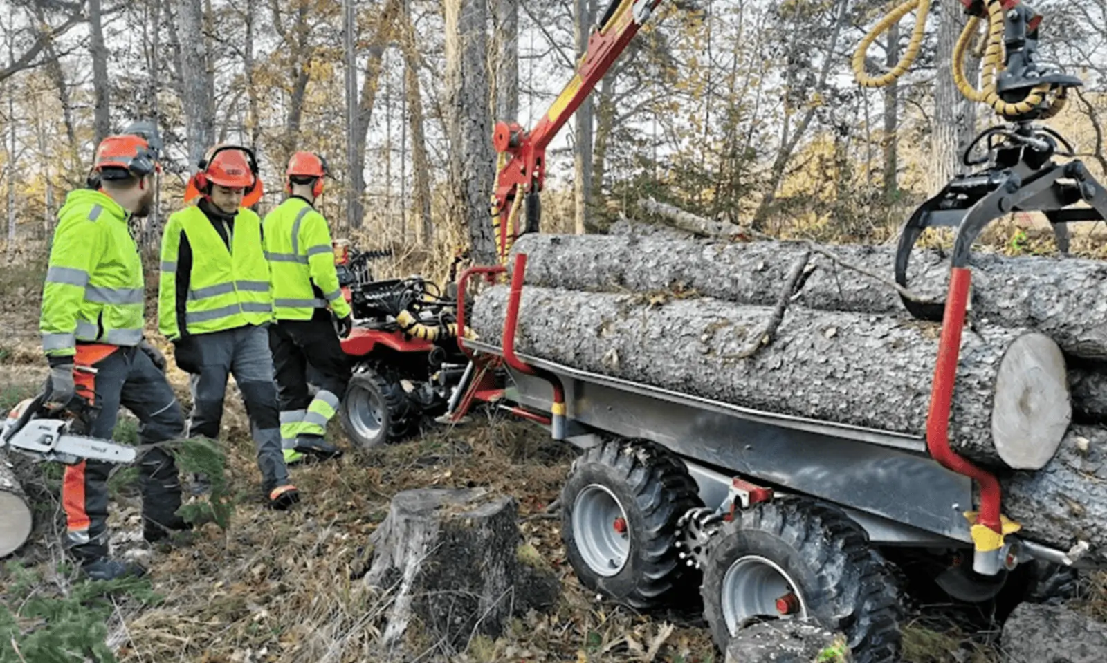 Vårt team av proffs